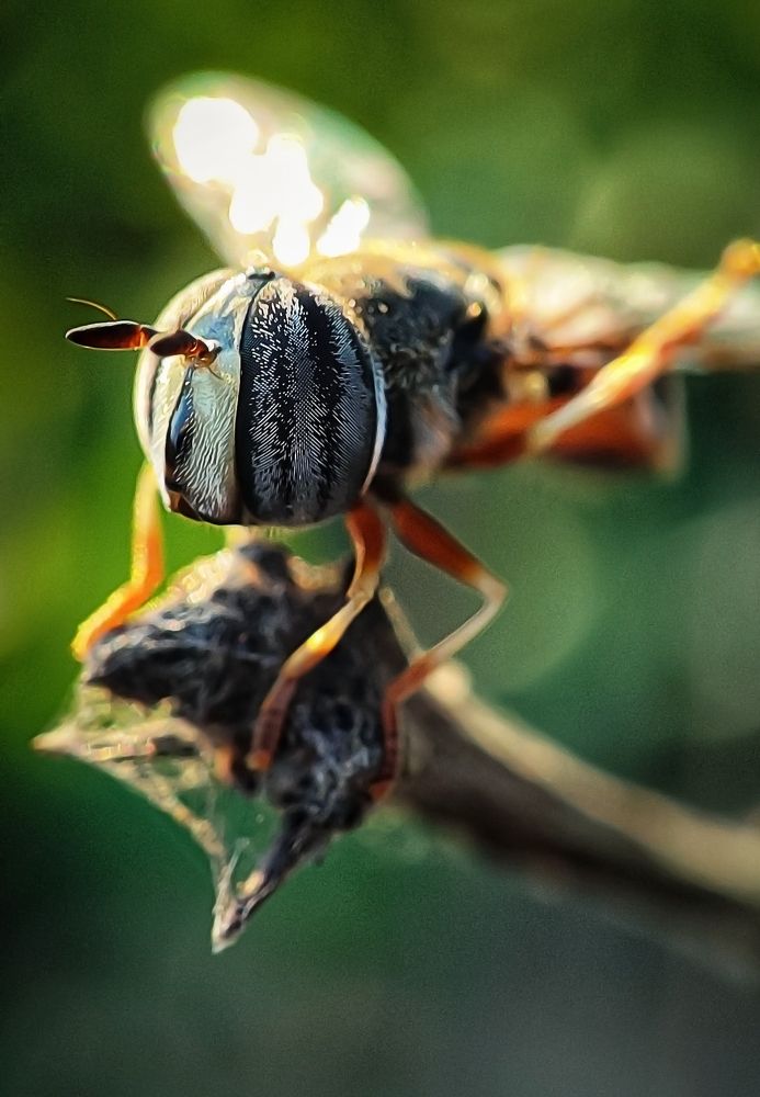 Photograph by SANDIP BANERJEE