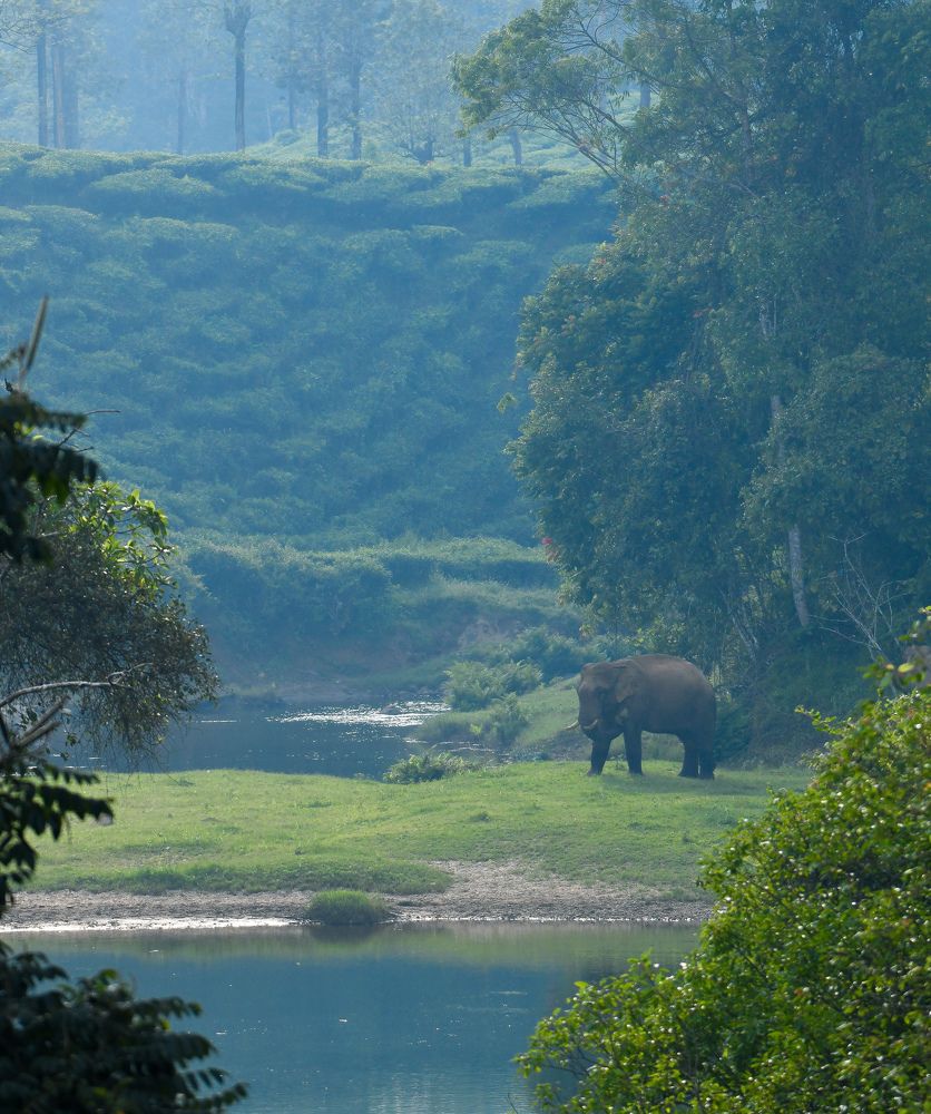 Photograph by Dhayanand