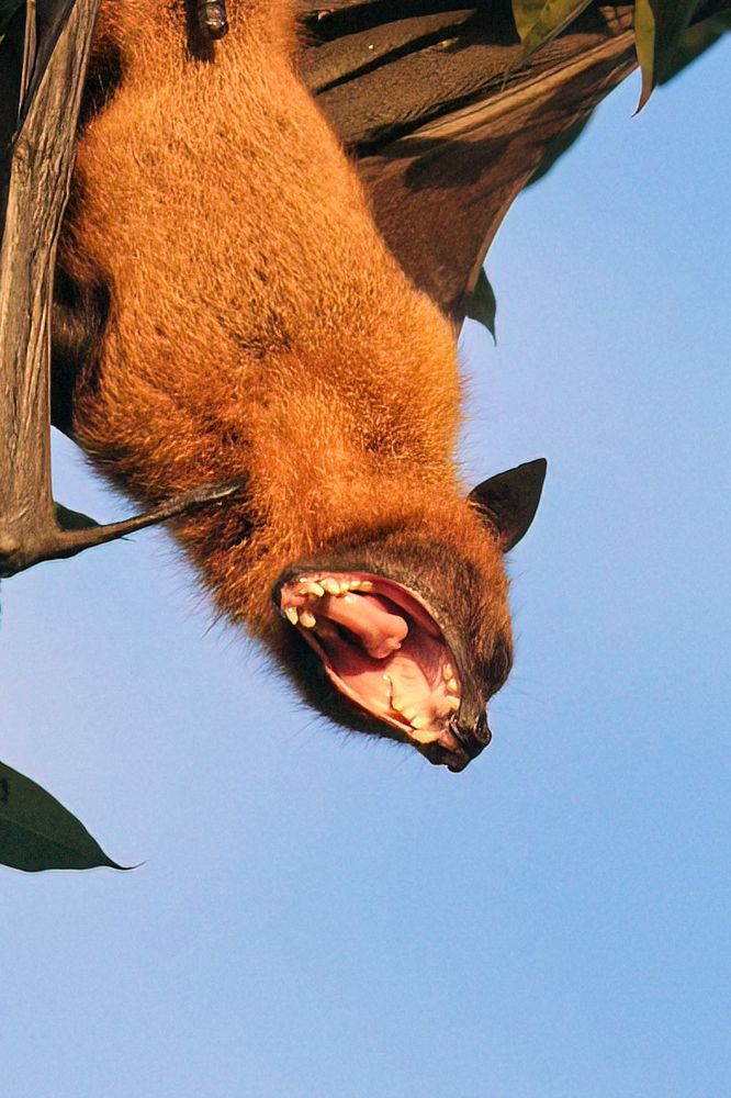 Photograph by Jemy Jose Mathew