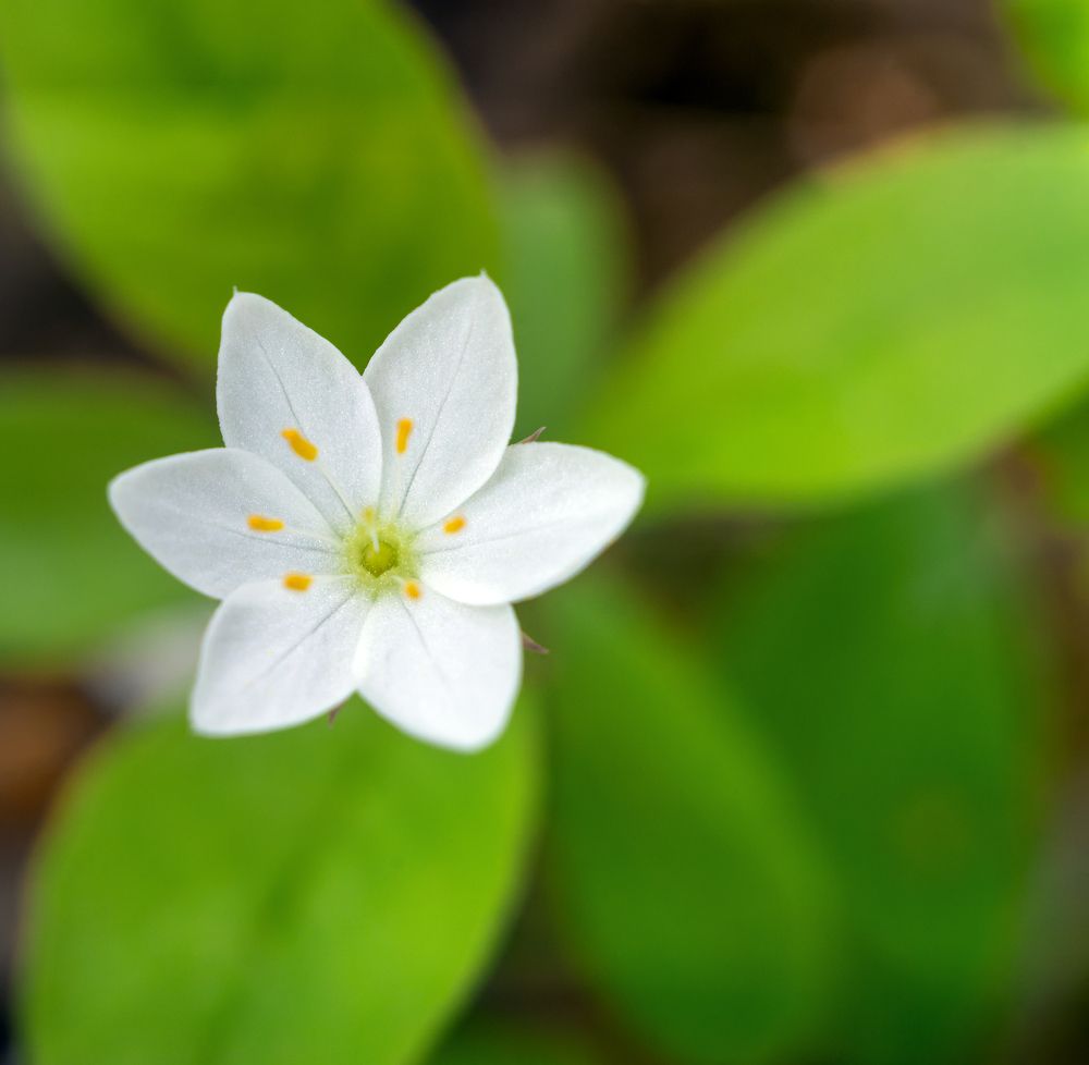 Photograph by Сергей Брызгалов