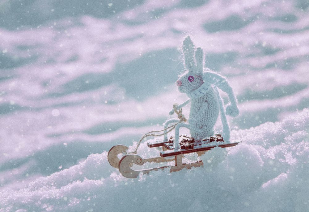 Фотография автора Юлия Лушникова