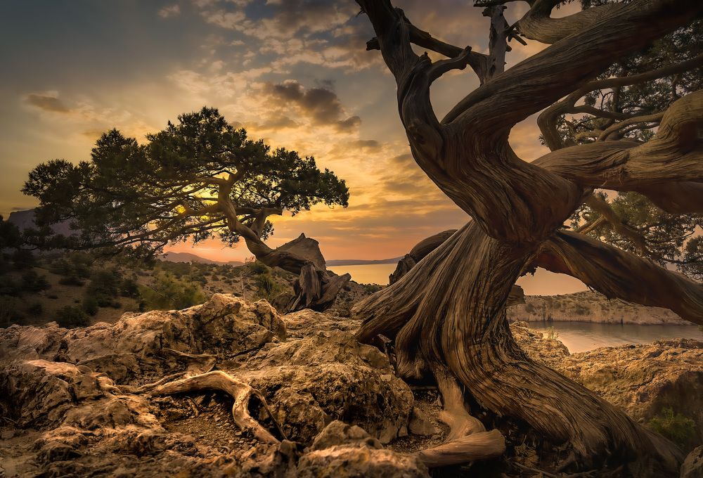 Photograph by Александр Разумов