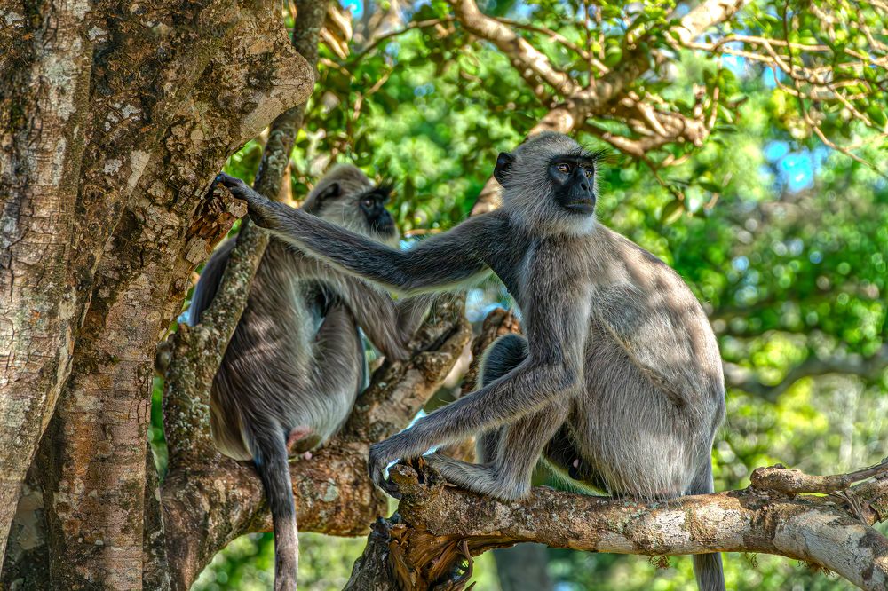 Снова туристы понаехали.