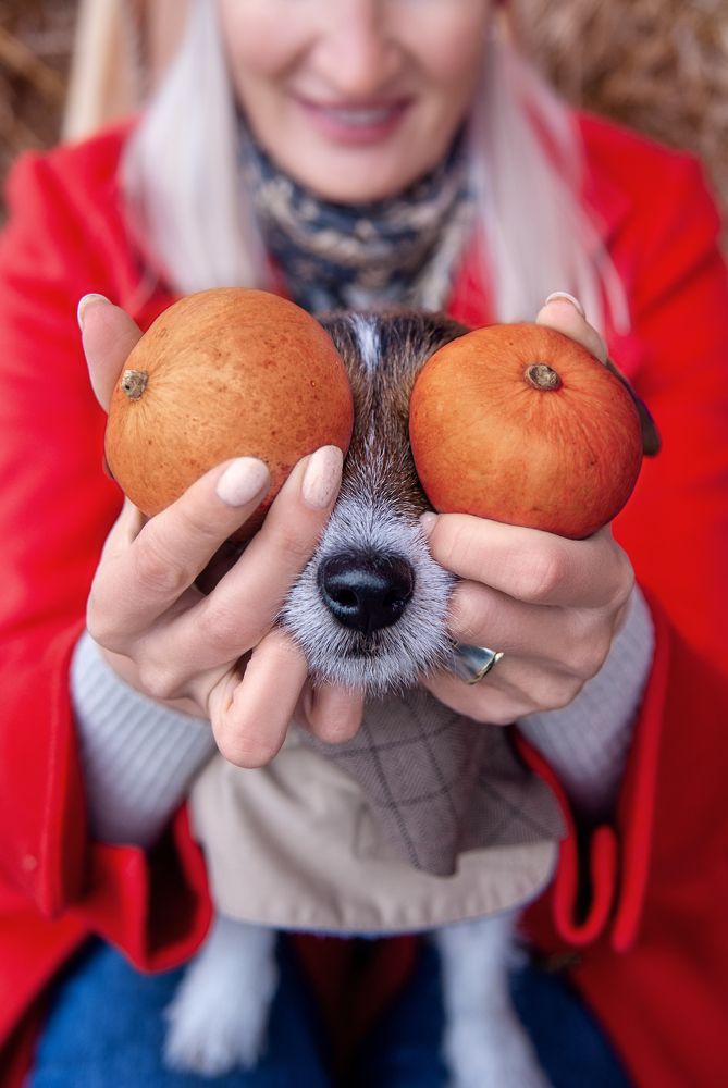 Photograph by Натали Фромм