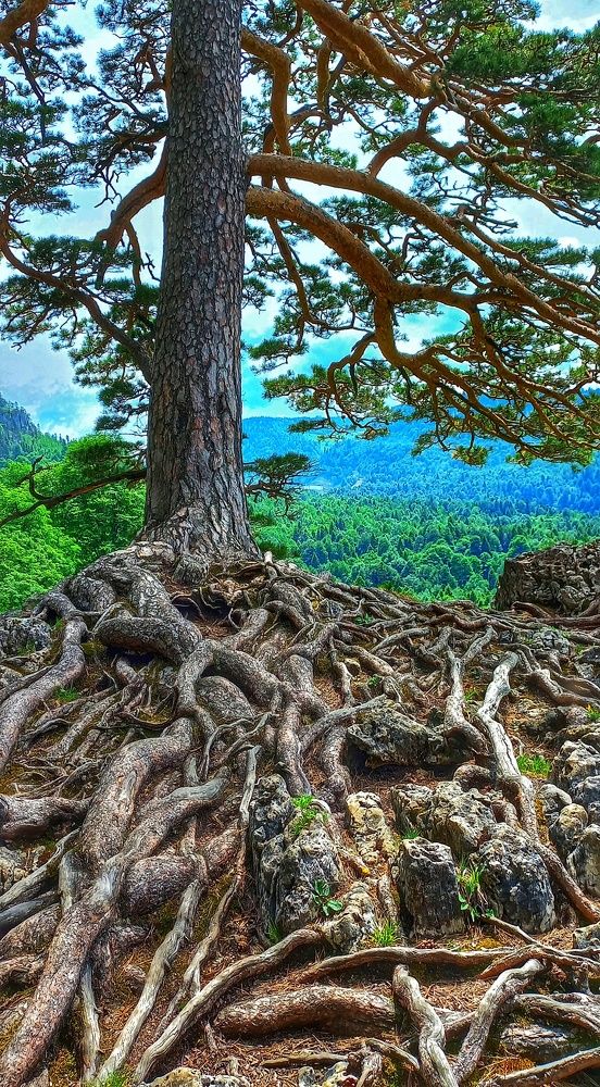 Photograph by Юлия Коробкова