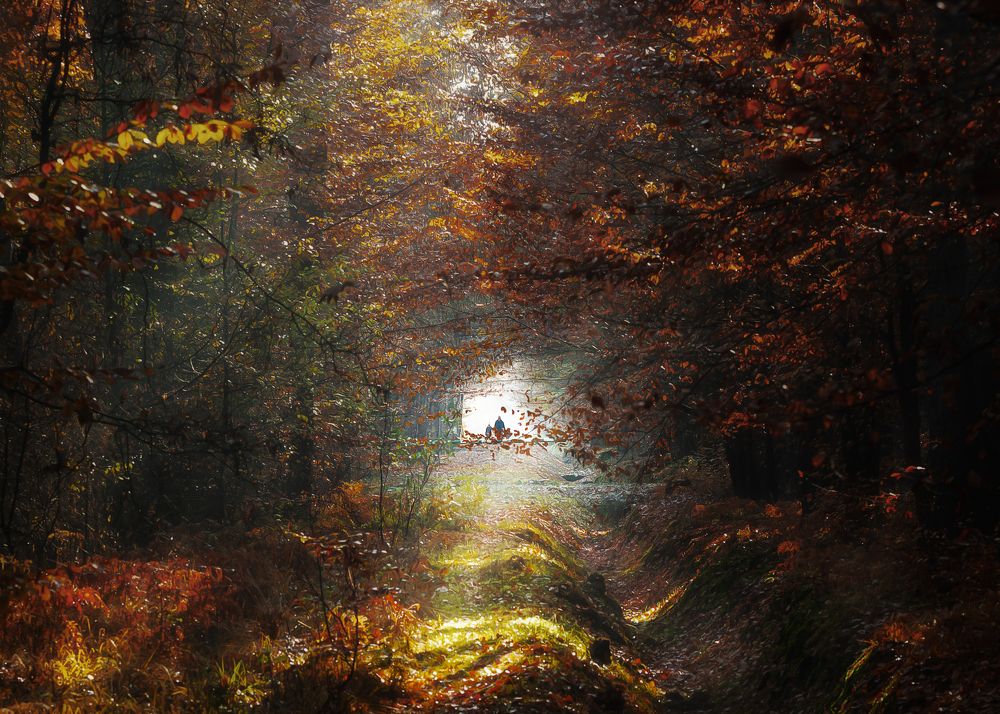 Photograph by Robert Gruszecki