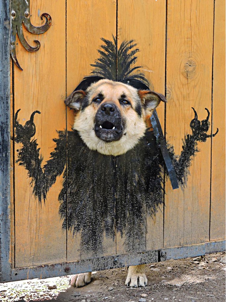 Photograph by Виктор Егоров