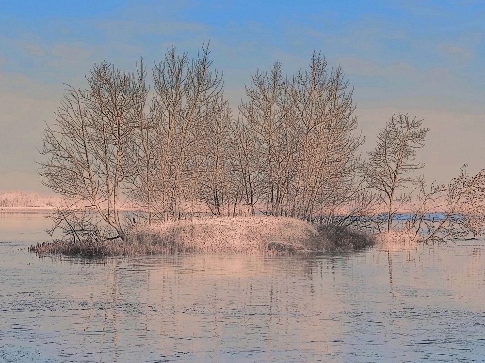 Photograph by Виктор Егоров