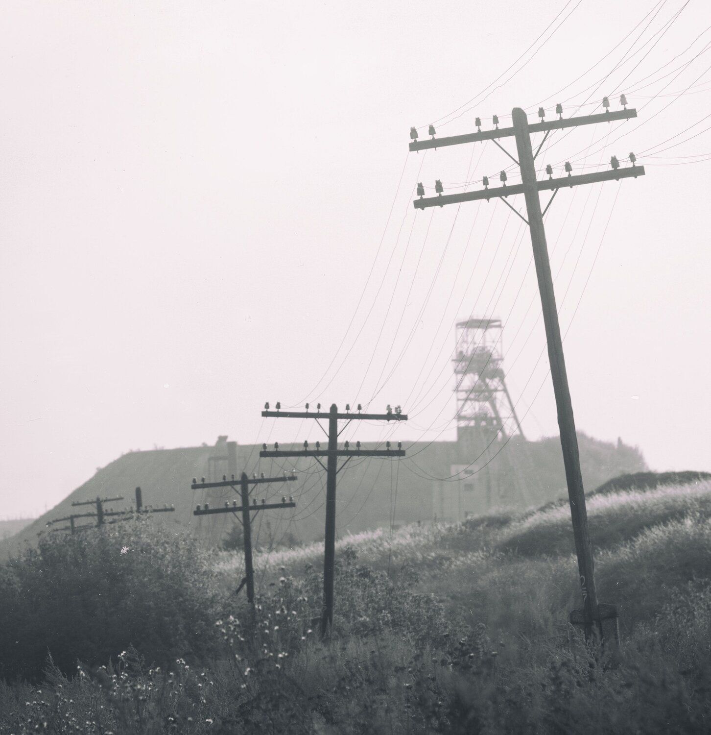 Photo #9953720