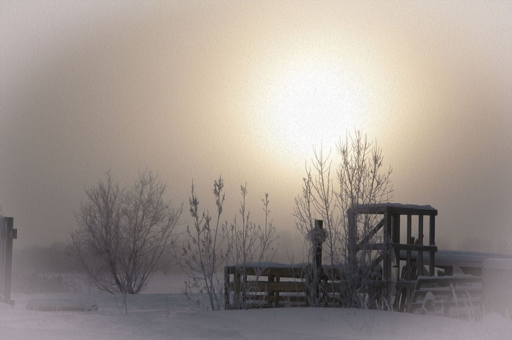 Фотография автора Елена Разина