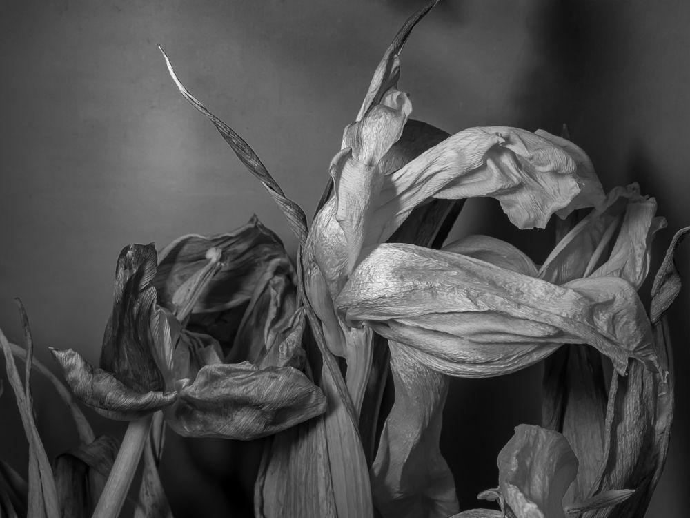 Photograph by Denis Polushin