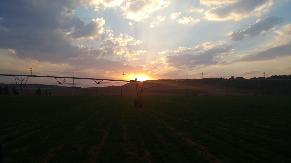 Photograph by Wilson Vukile Mngwambe