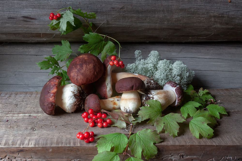 Photograph by Владимир Архипов