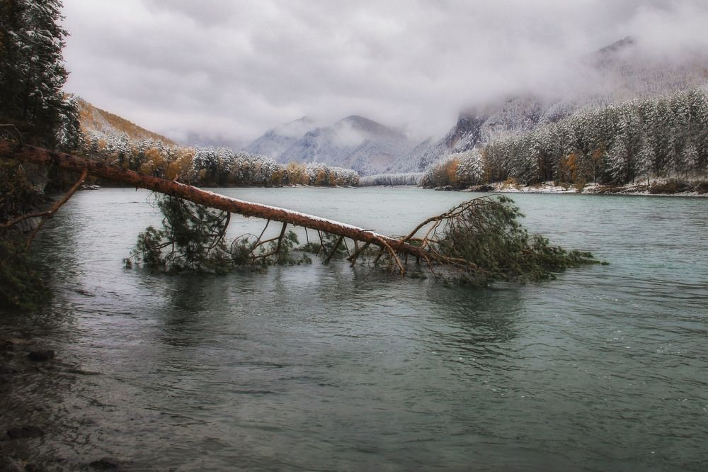Поверженный страж