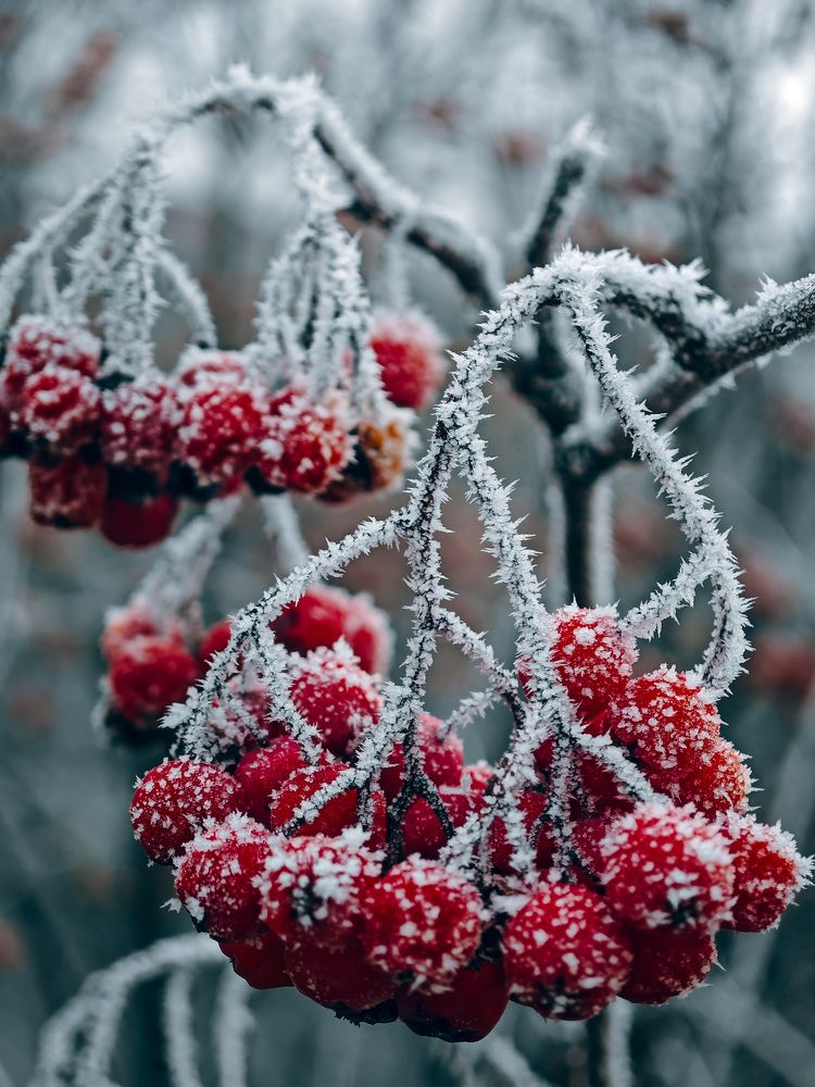 Фотография автора Иван Мисько