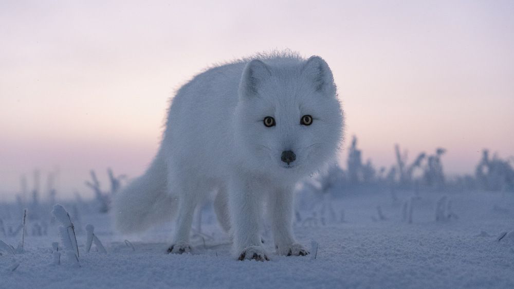 Photograph by Антон Дроздов