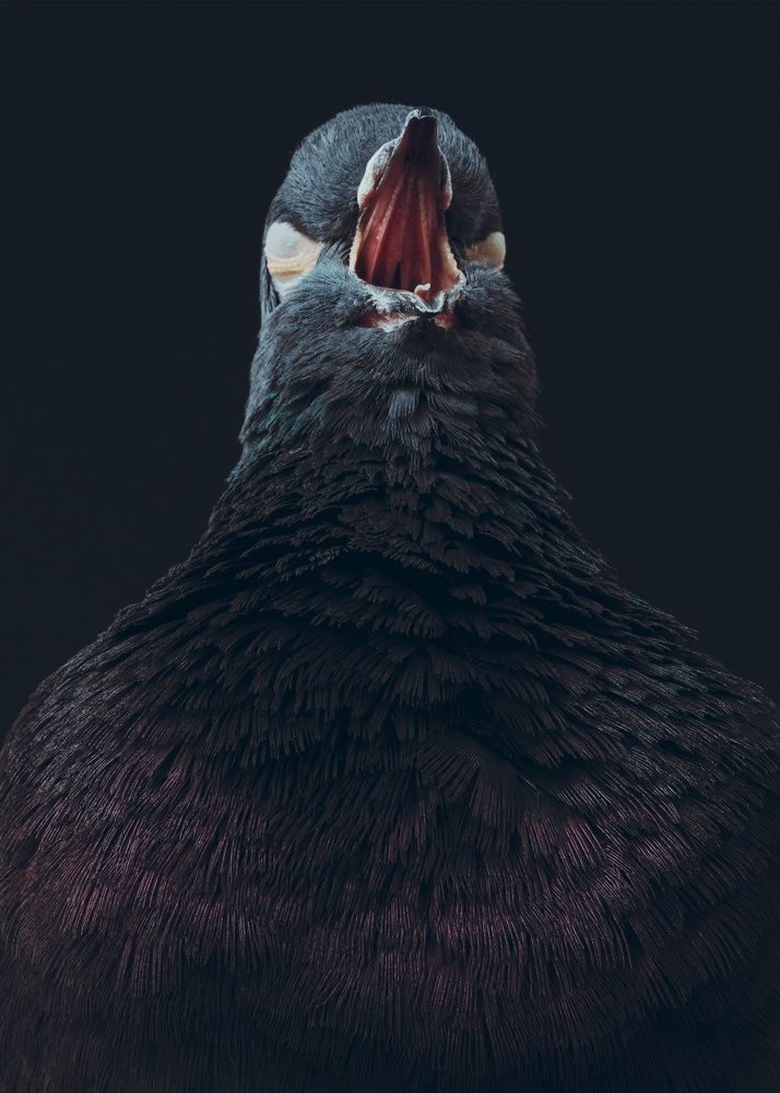 Photograph by Евгений Студитский