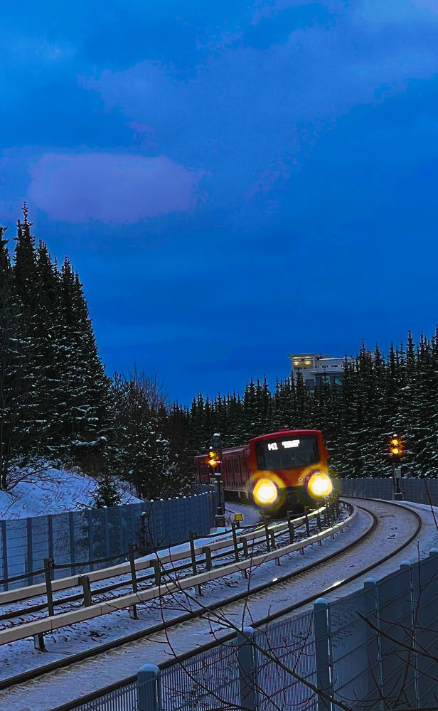 Фотография автора Elga Shtern