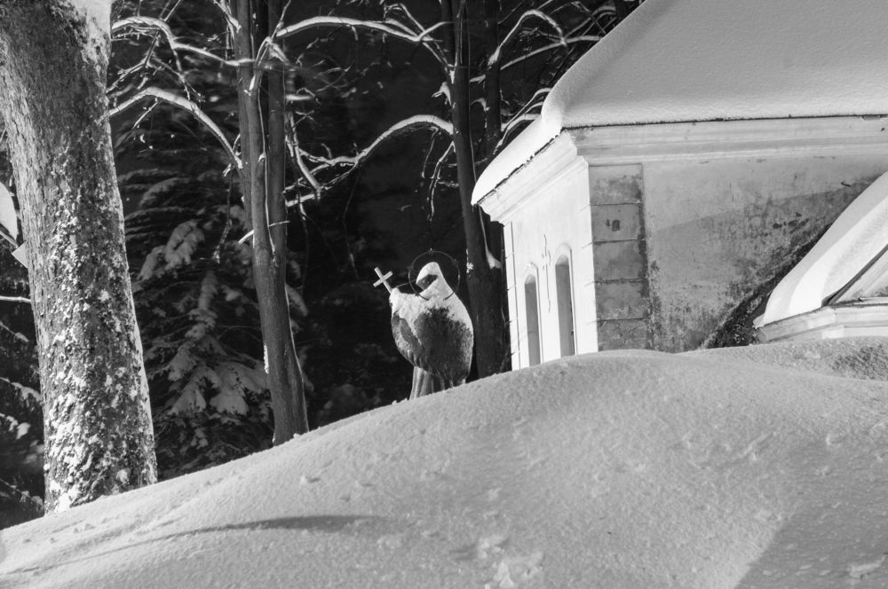 Фотография автора Chorche Prigo