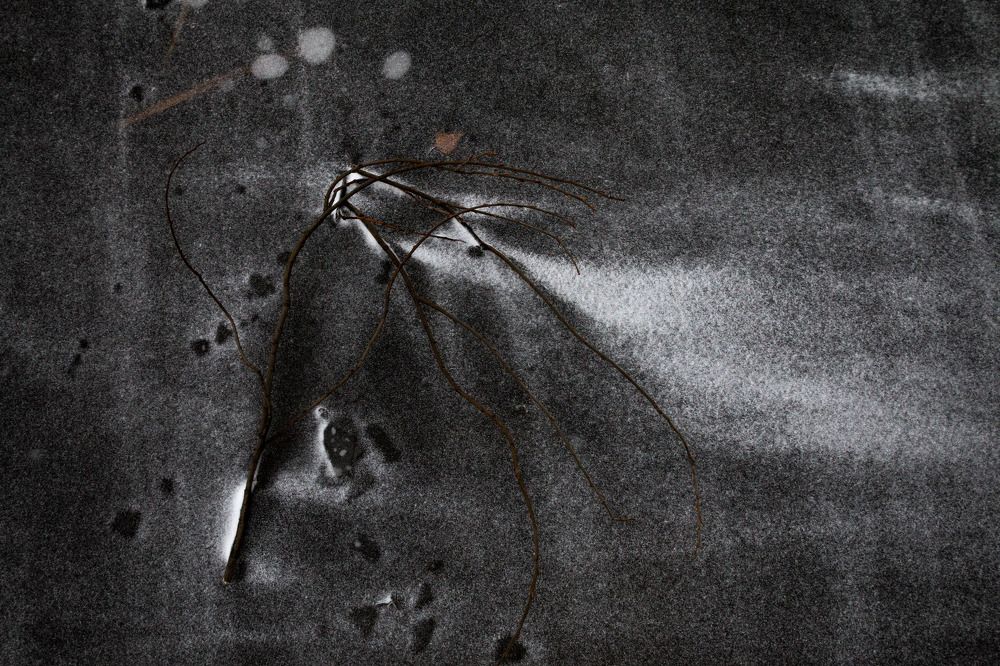 Photograph by Андрей Кульков