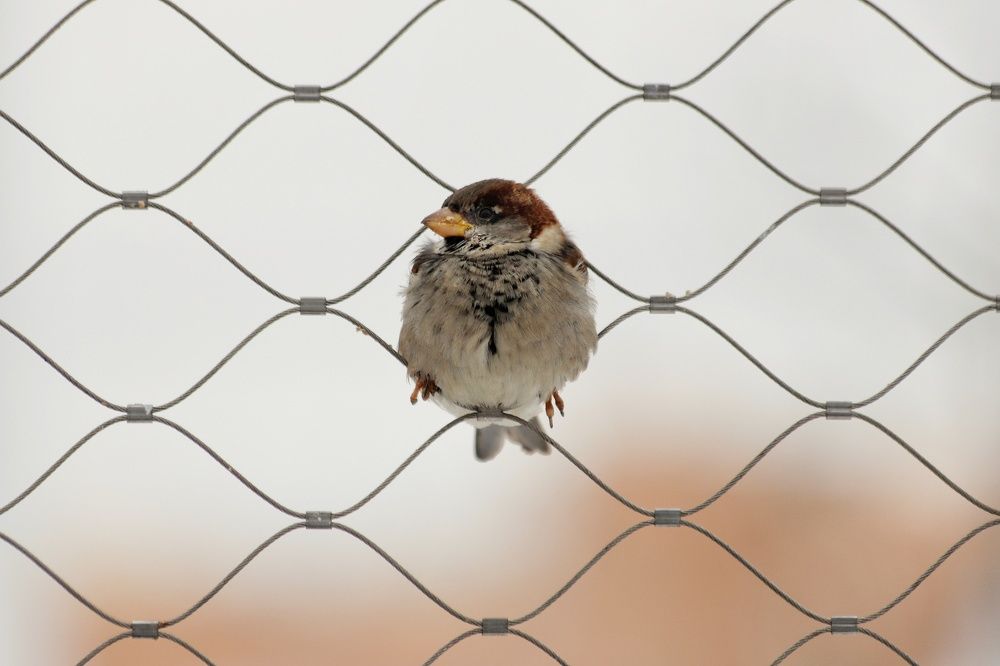 Фотография автора Елена Кириллова