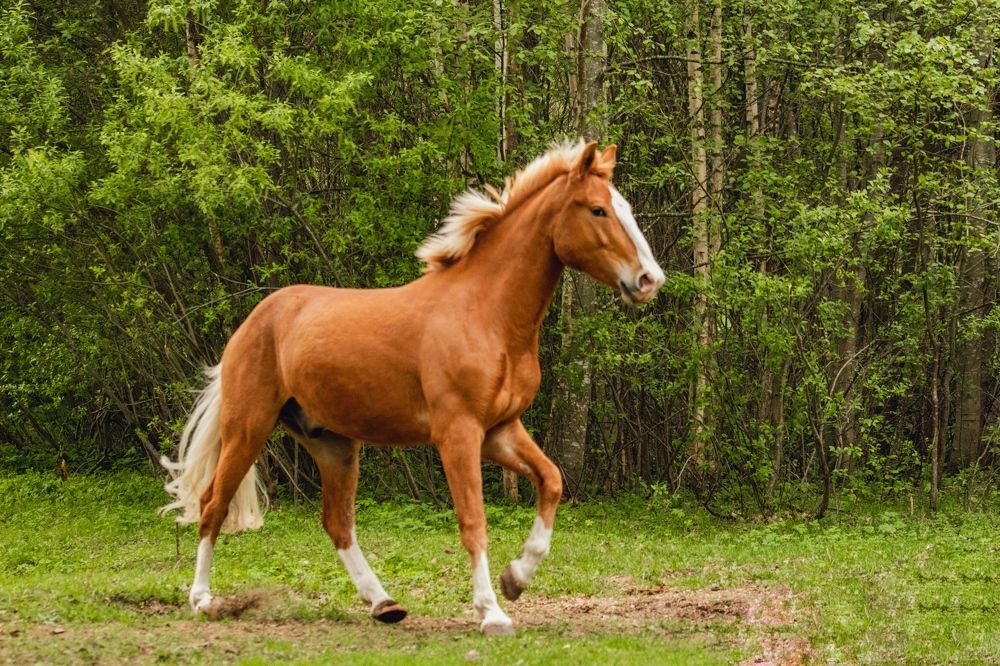 Photograph by Татьяна