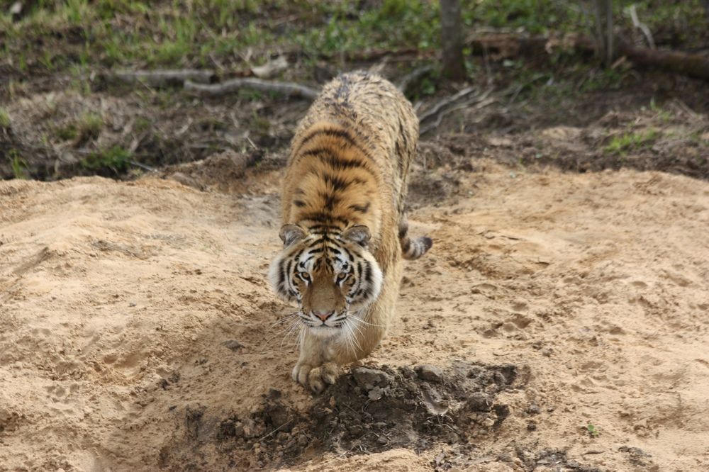 Photograph by Елена Смирнова