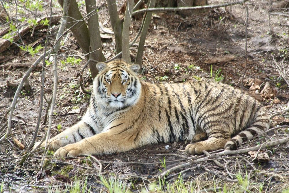 Photograph by Елена Смирнова