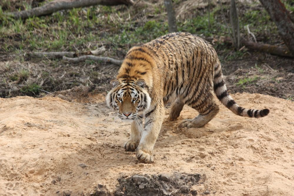 Photograph by Елена Смирнова