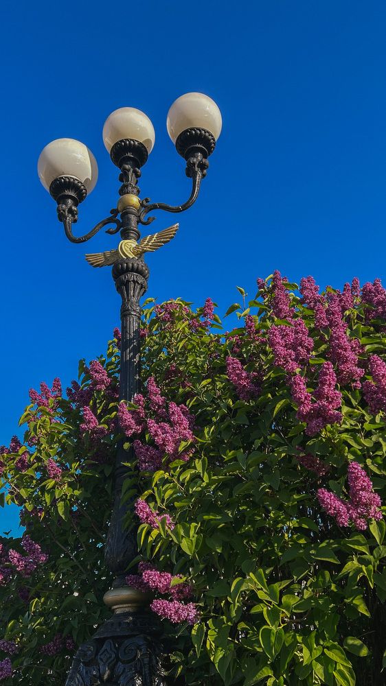Photograph by Юлия Журавлева