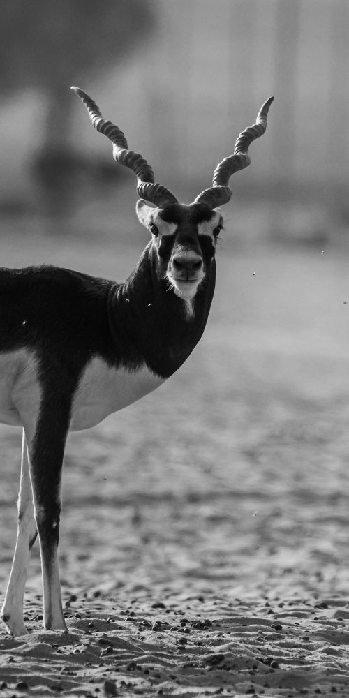 Photograph by Hervie Imus