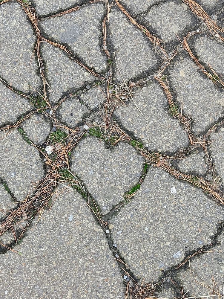 Сердце на асфальте