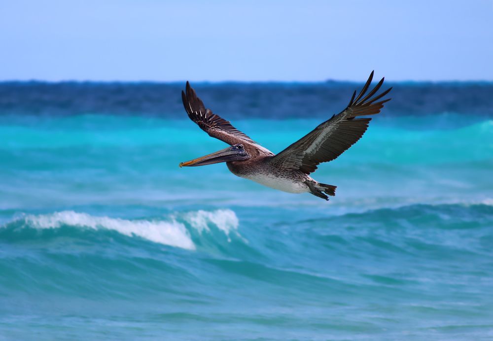 Photograph by Елена