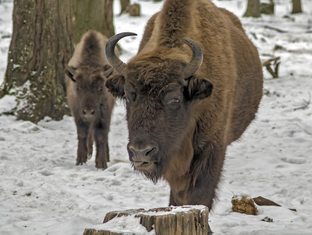 Photograph by Екатерина Рябинина