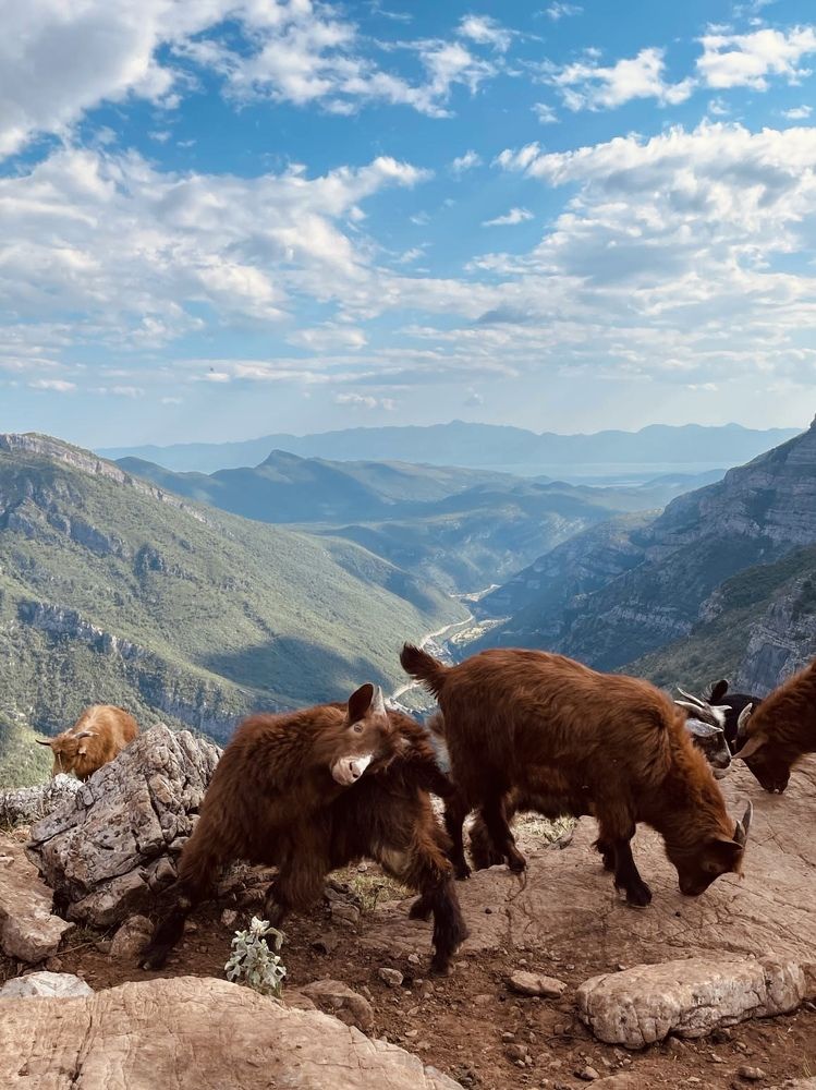 Photograph by Veronika Vilima