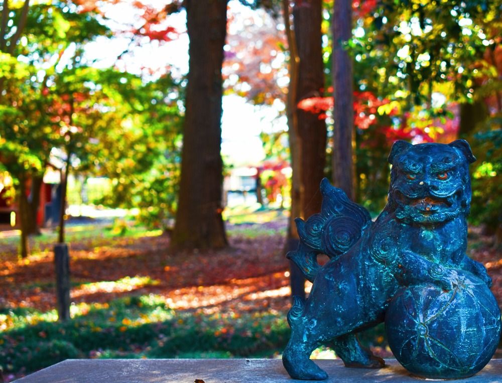 Фотография автора Sen Abhijit