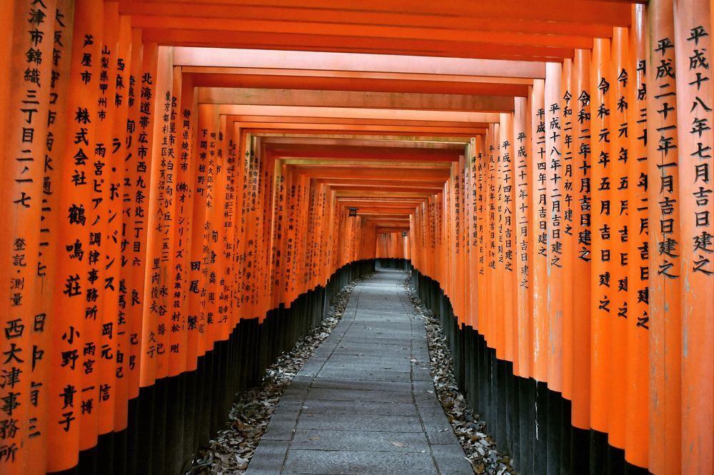 Фотография автора Sen Abhijit