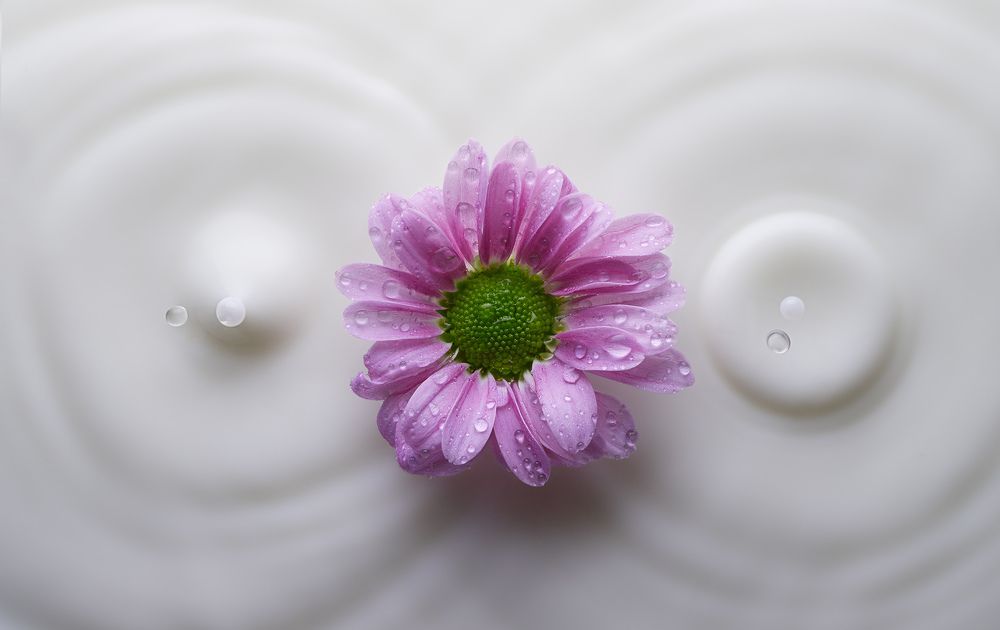 Photograph by Prometej