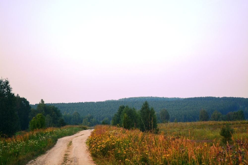 Photograph by Ксения Лебедева