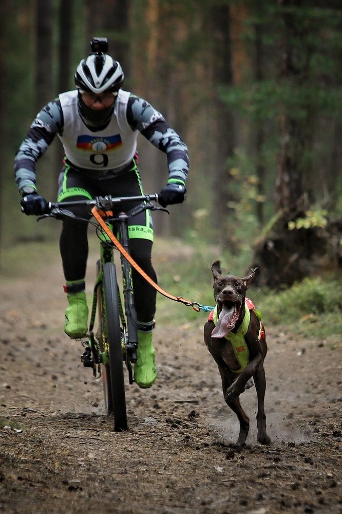 Фотография автора Елена Кириллова