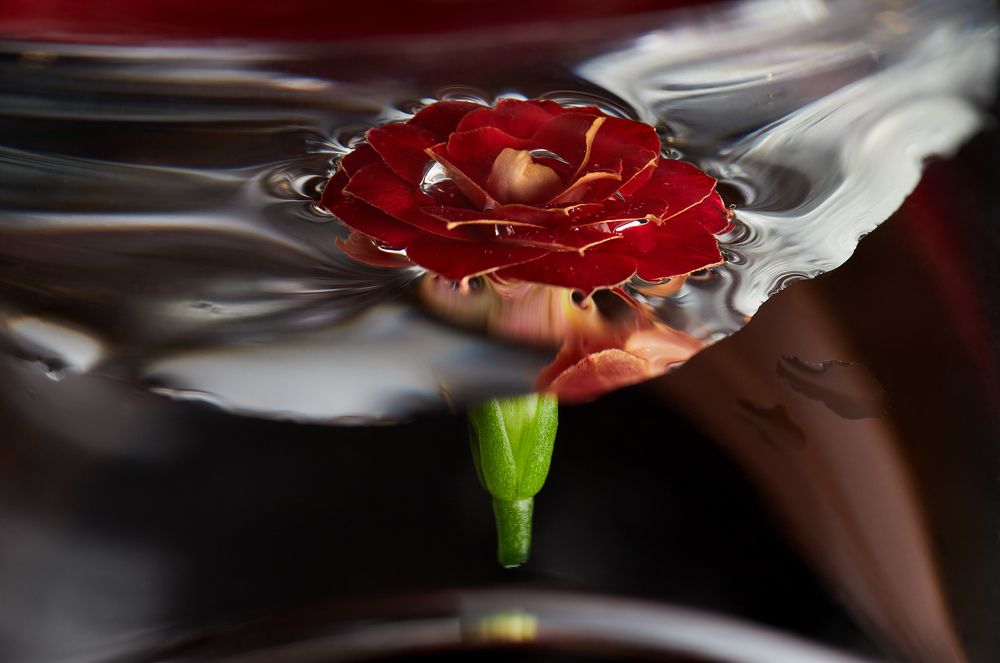 Photograph by Prometej