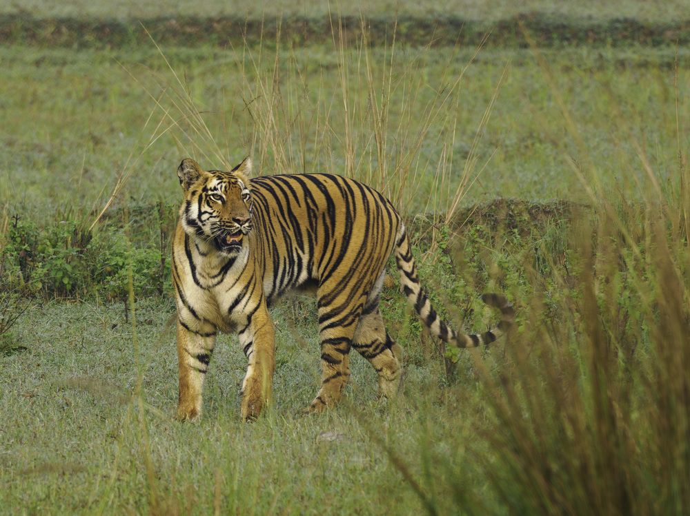 Photograph by RAJESH MAHAJAN