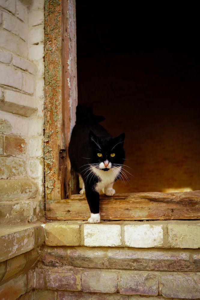 Фотография автора Татьяна Тур