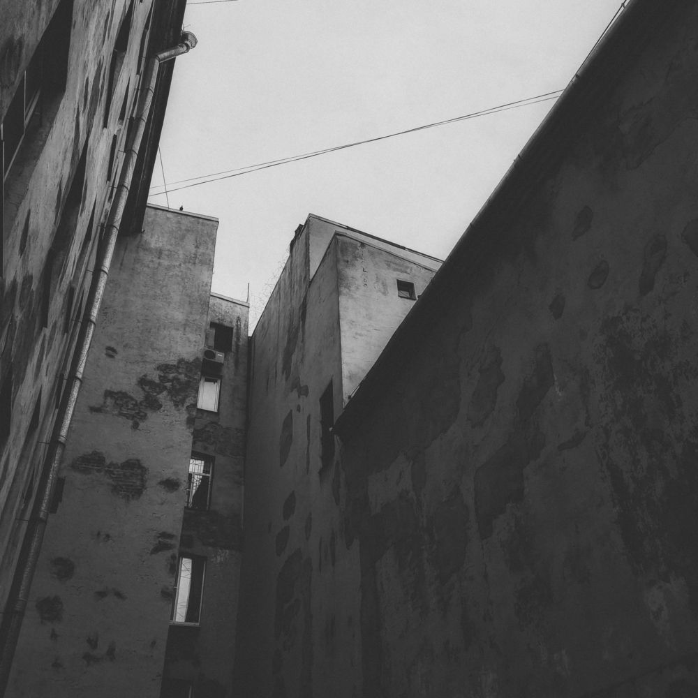 Photo #9954557