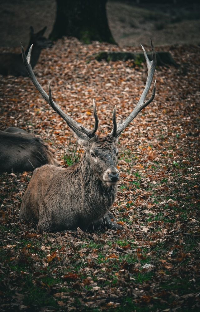 Photograph by Bogdan Dumitru