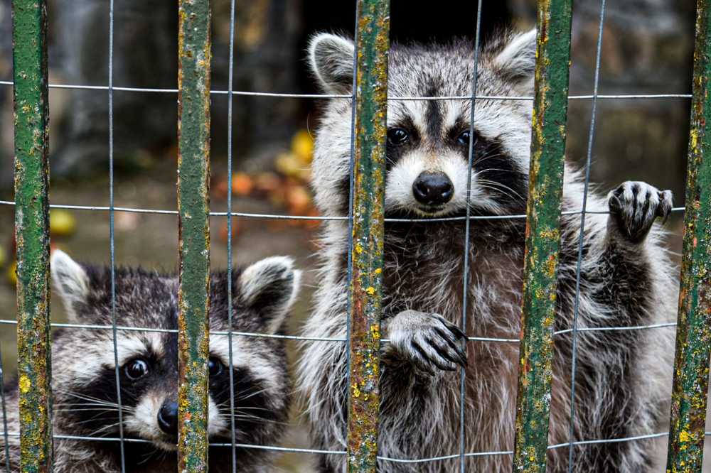 Photograph by Bogdan Dumitru