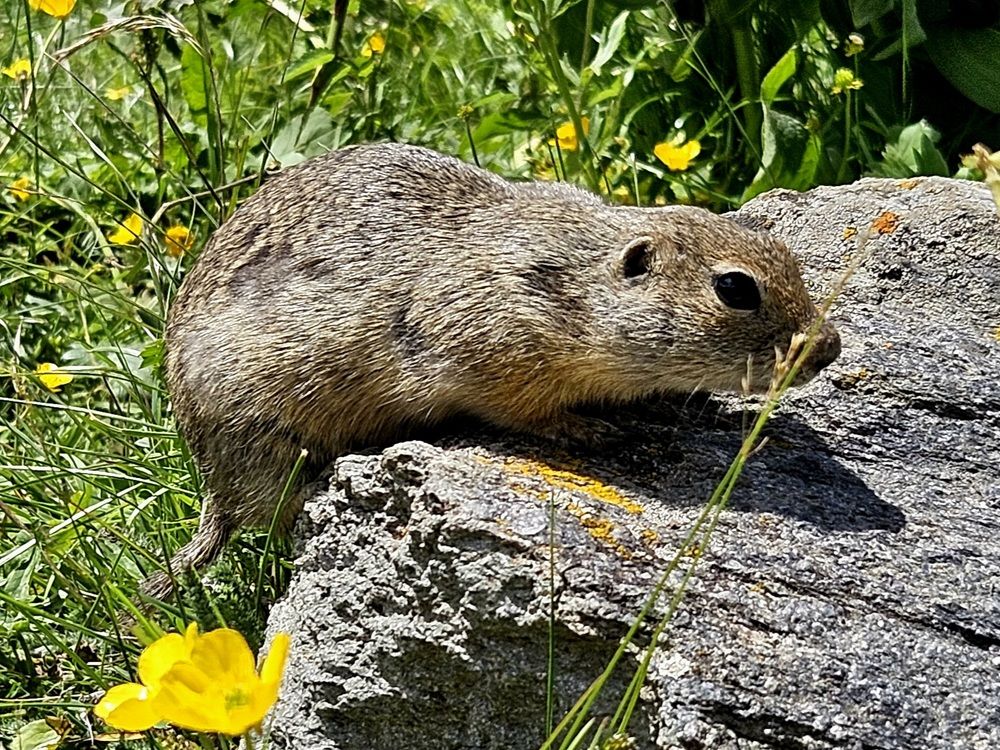 Photograph by Светлана Широкова