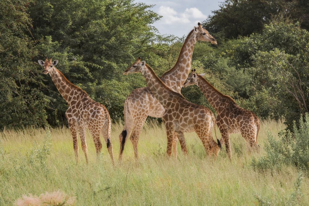 Фотография автора Анатолий