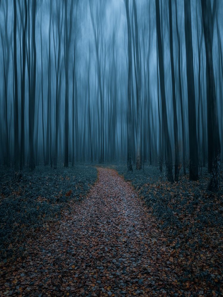 Photograph by Denis Romanov