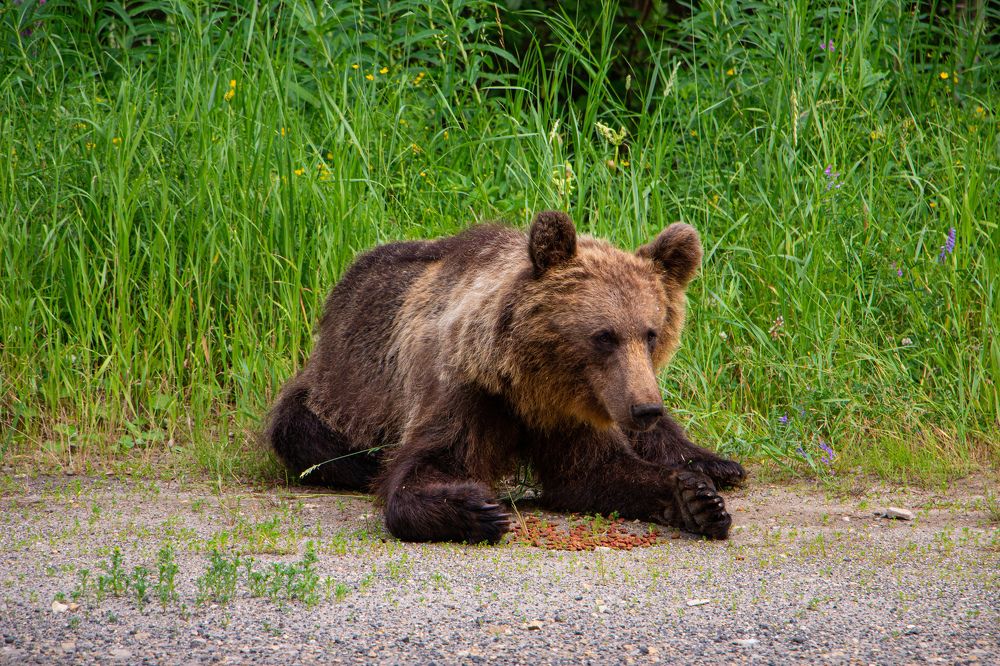 Photograph by Константин Семенюк